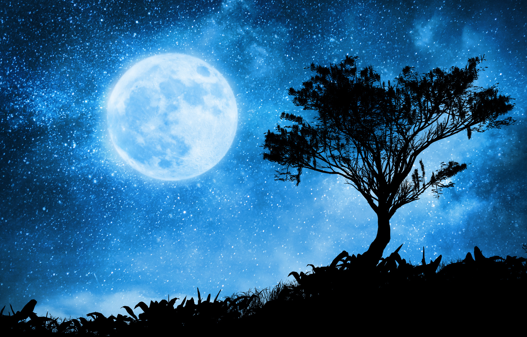 a magic night landscape with starry sky